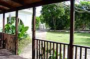 Gardens at Mangoes, across the road from the diving shop