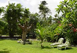 Garden at Mangoes self-catering villa in Barbados in the Caribbean